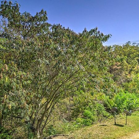 Centrally Located Brandon Condo With Pool Access Μπράνσον Εξωτερικό φωτογραφία